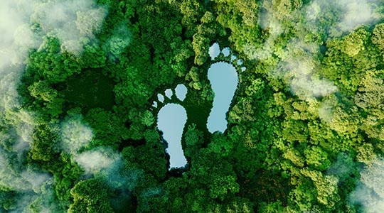 Footprint-540x300px.jpg