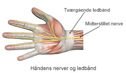 Seneskader i hånd og håndled Aleris