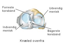 Meniskskader i – behandling | Aleris