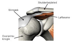 Indeklemning skulderen | Aleris