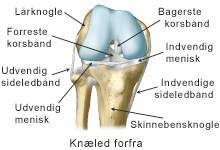 Skade på ledbånd i